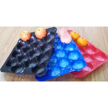 Disposable Frosted Surface Thermoforming Fresh Fruit Export Packaging for Stone Fruit Popular in Chile Market